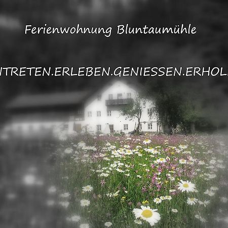 Ferienwohnung Bluntaumuehle ゴリング・アン・デア・ザルツァッハ 部屋 写真
