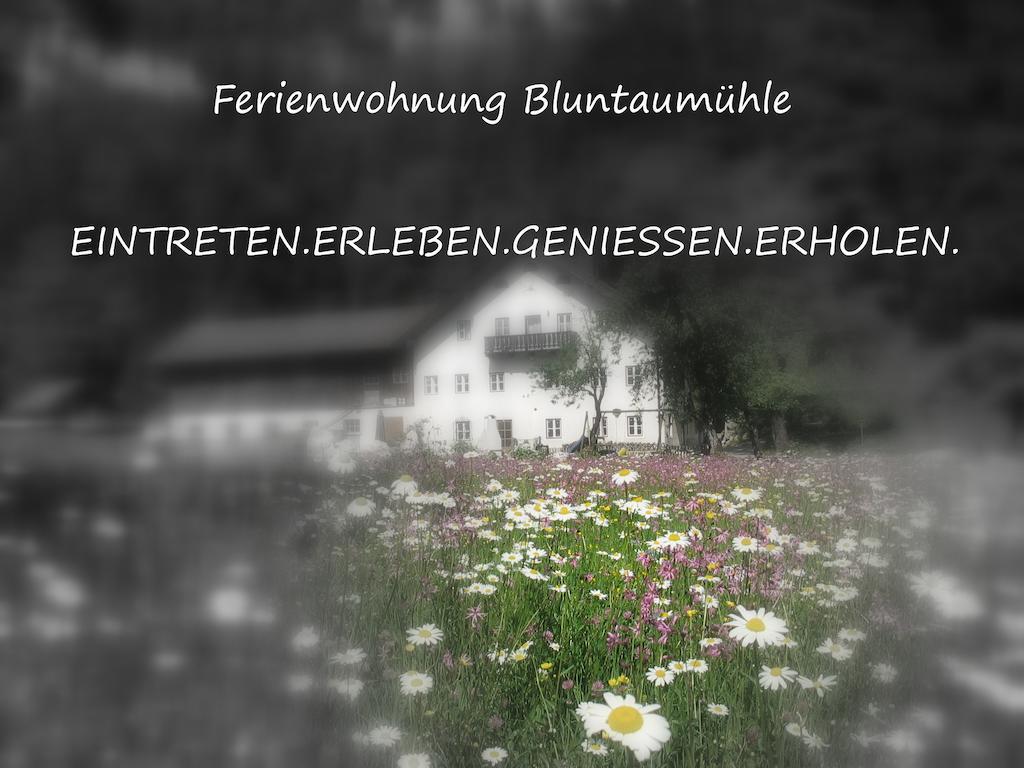 Ferienwohnung Bluntaumuehle ゴリング・アン・デア・ザルツァッハ 部屋 写真